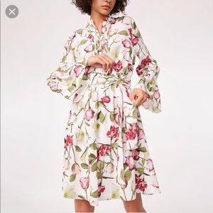 Club Monaco Ladonda Dress